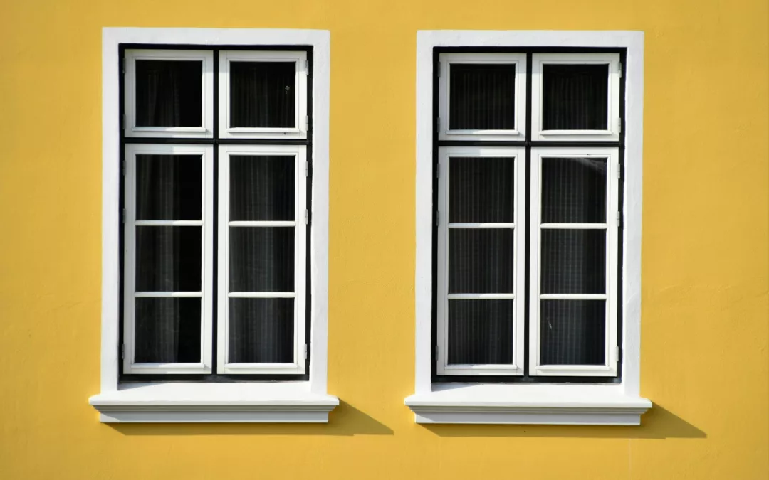 Why Accoya Outshines Meranti for Windows