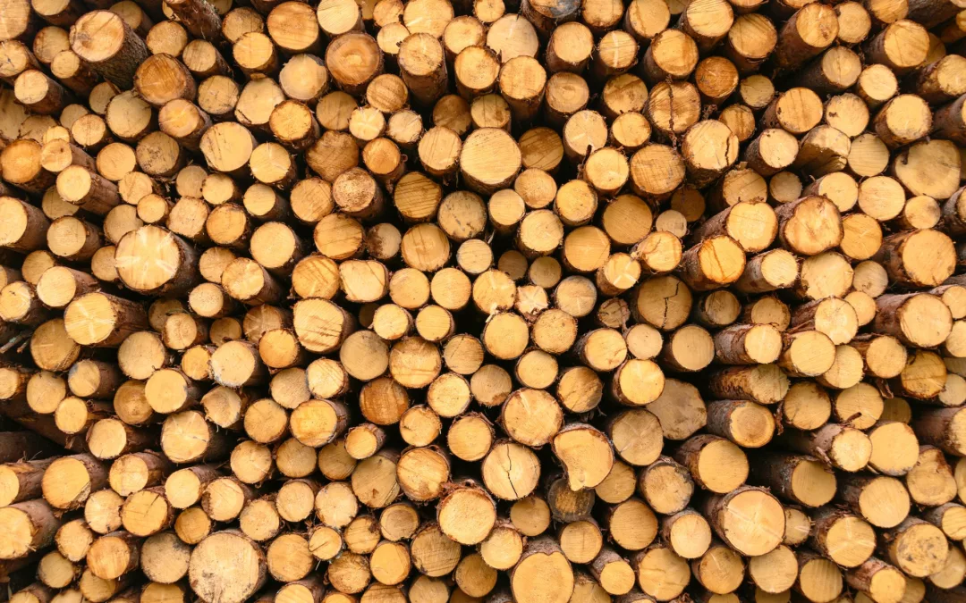 Accoya vs. Belleau Wood: Accoya’s Superiority