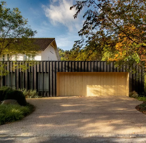 accoya